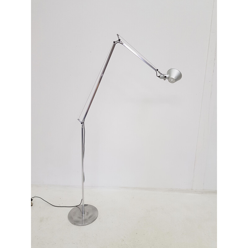 Tolomeo Terra Halo vintage floor lamp by Artemide