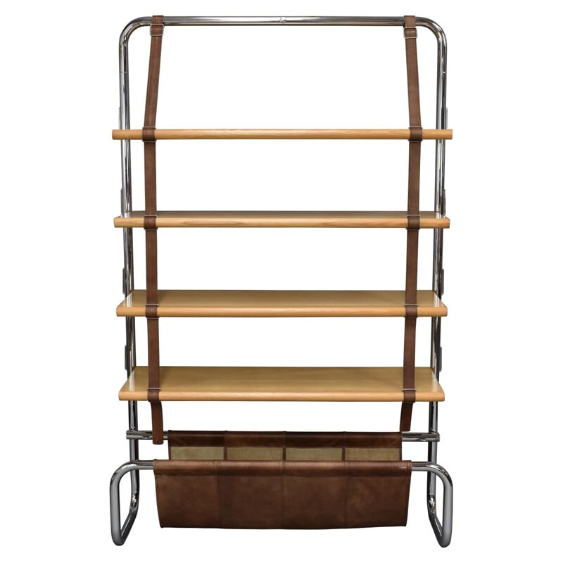 Jumbo Line vintage bookcase by Luigi Massoni for Poltrona Frau