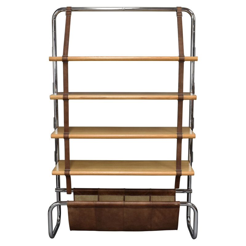 Jumbo Line vintage bookcase by Luigi Massoni for Poltrona Frau