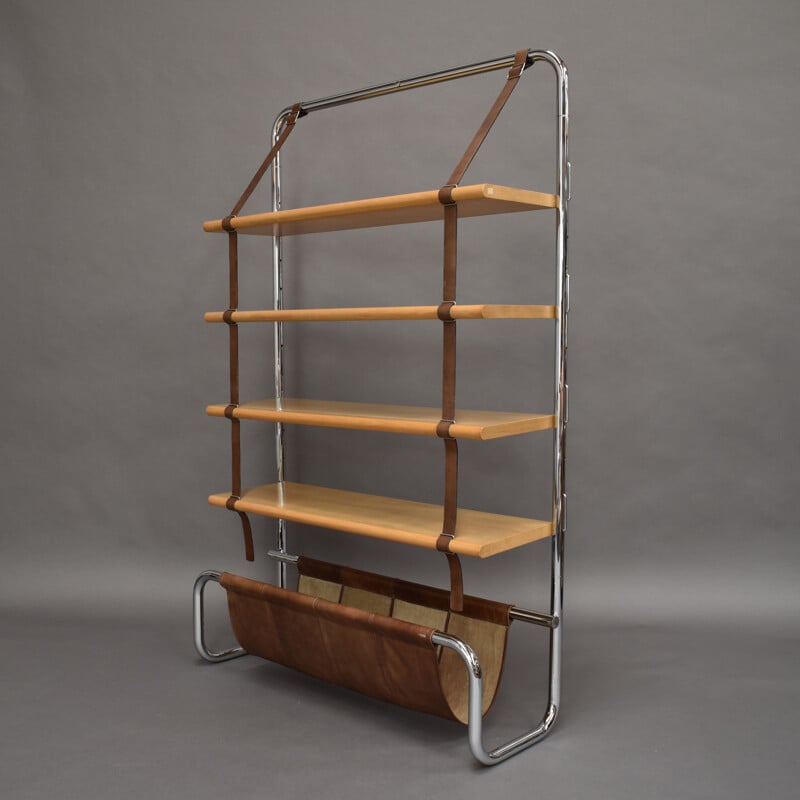 Jumbo Line vintage bookcase by Luigi Massoni for Poltrona Frau