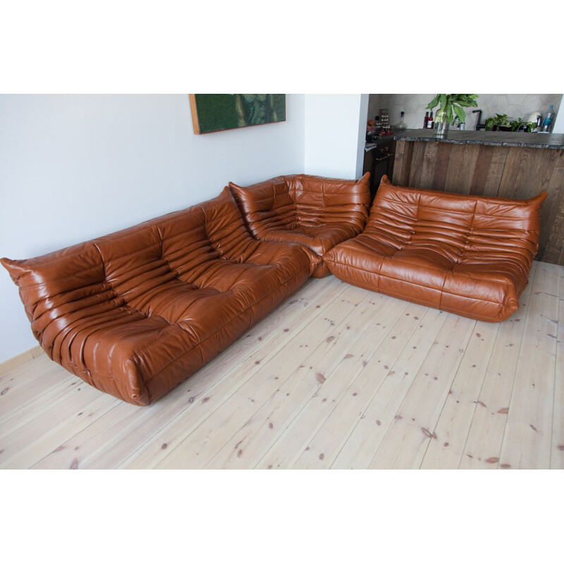 Togo vintage living room set in brown leather by Michel Ducaroy for Ligne  Roset, France 1970
