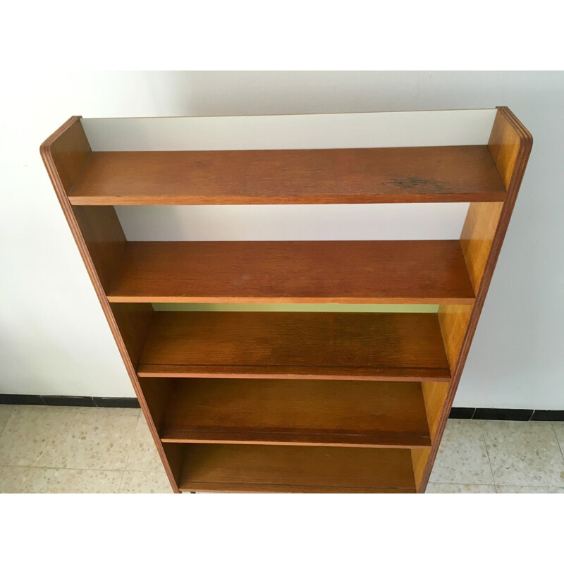 Vintage Bookcase with multicolored background, 1950