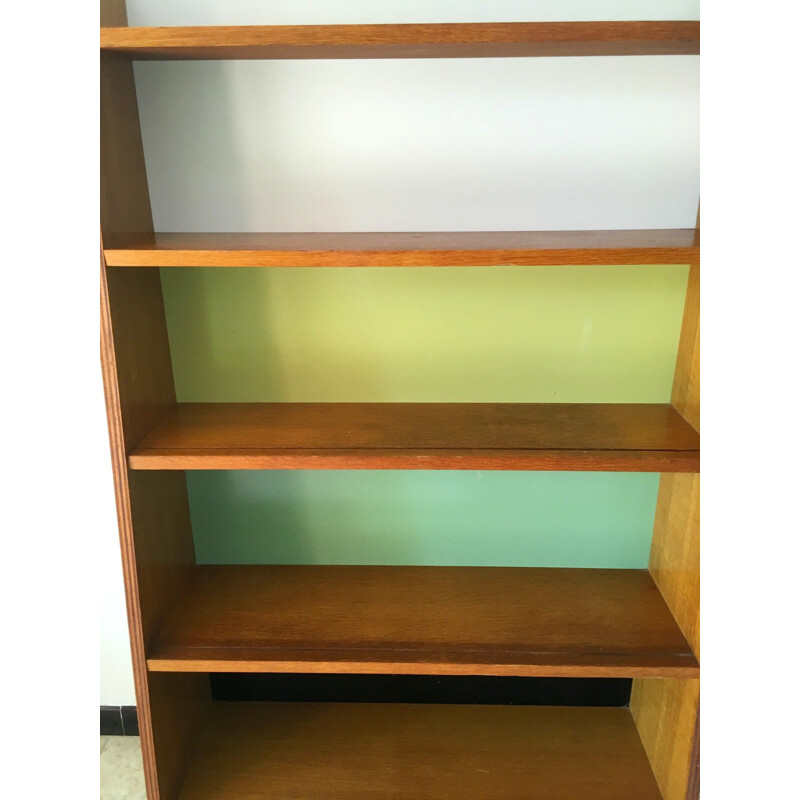 Vintage Bookcase with multicolored background, 1950