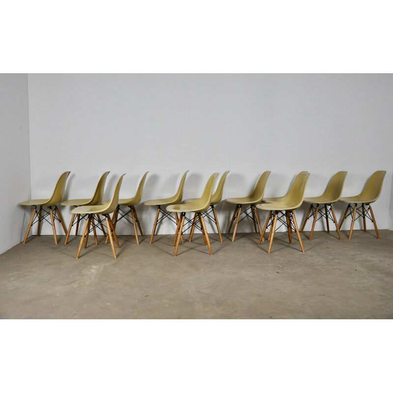 Suite de 12 chaises vintage DSW de Charles et Ray Eames pour Herman Miller 1970
