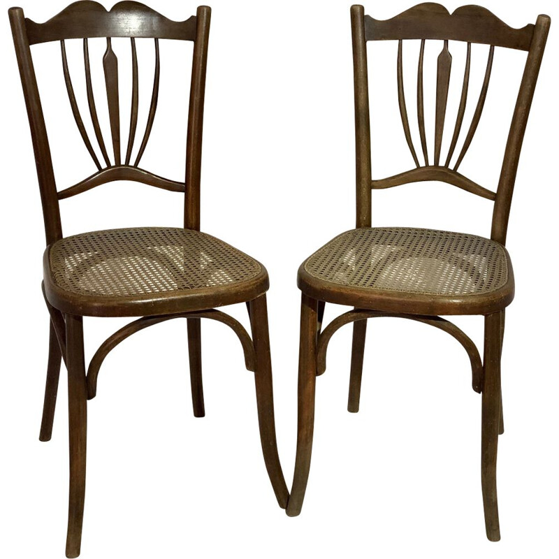 Pair of vintage chairs for Japy in wood 1930