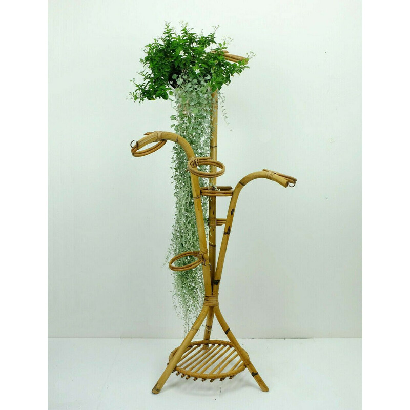 Vintage flower stand in bamboo, 1950s 