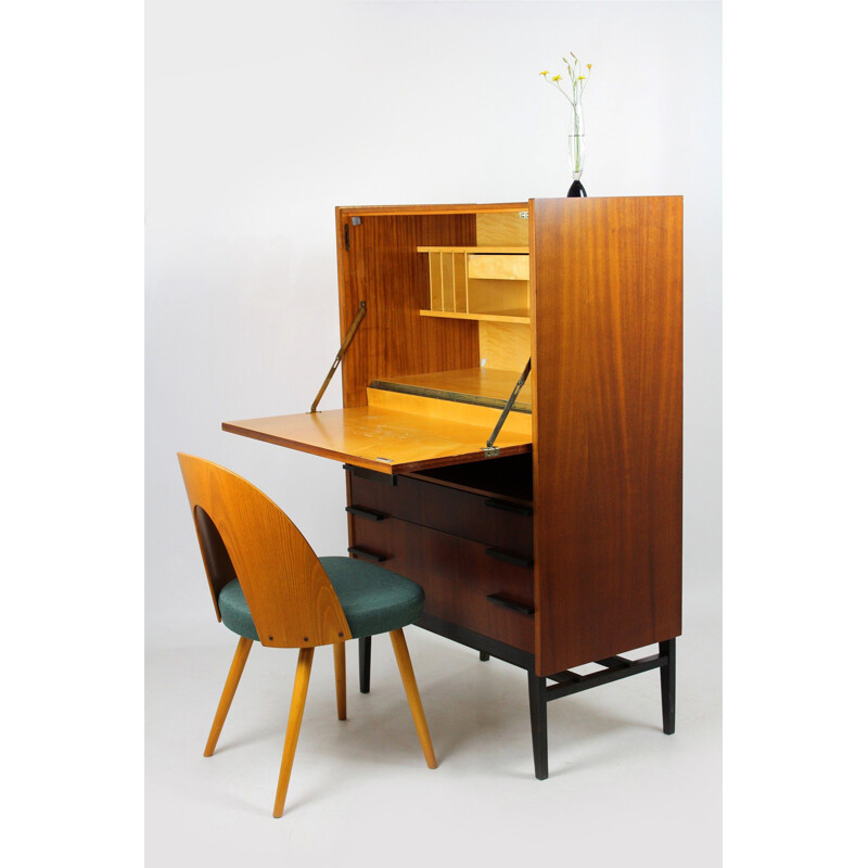 Vintage Secretary Desk by František Mezulaník for UP Bucovice, 1960s 