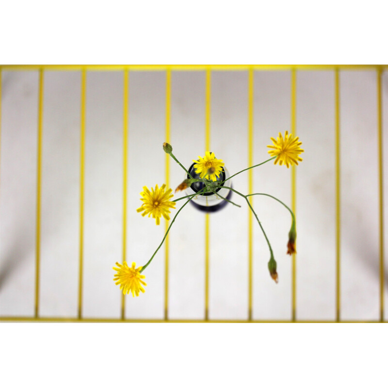 Vintage coffee table in white glass and metal, by Jitona, 1960s