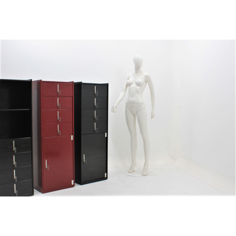 Lacquered Cabinets by Vittorio Introini for Saporiti, 1970s, Set of 2