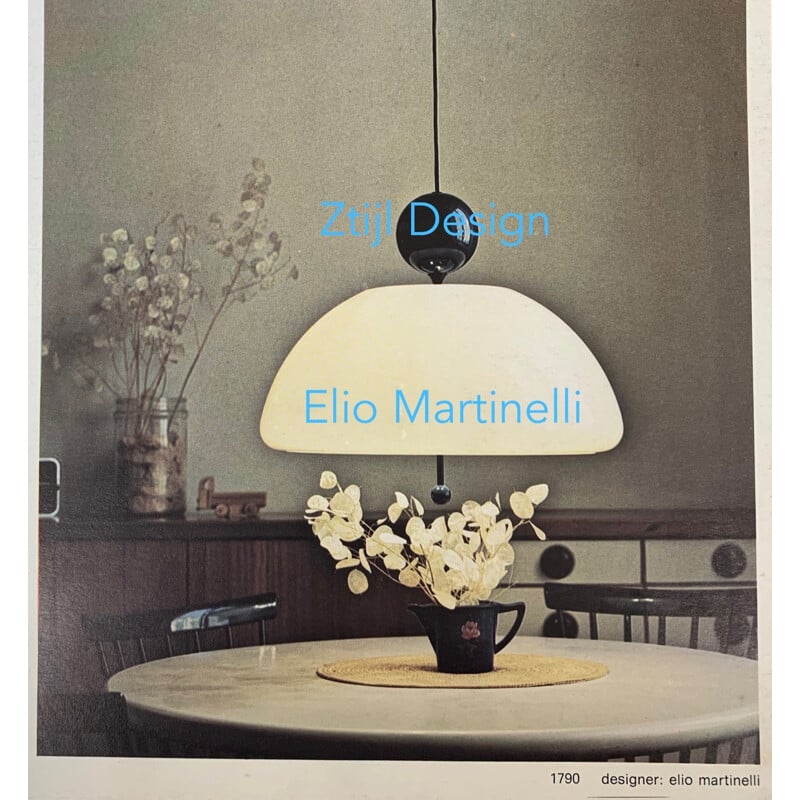 Vintage Hanging Lamp model 1700 Saliscendi by Elio Martinelli for Martinelli Luce Italy 1970s