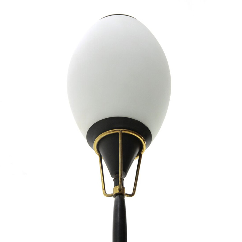 Vintage-Stehlampe aus Opalglas, Italien, 1950