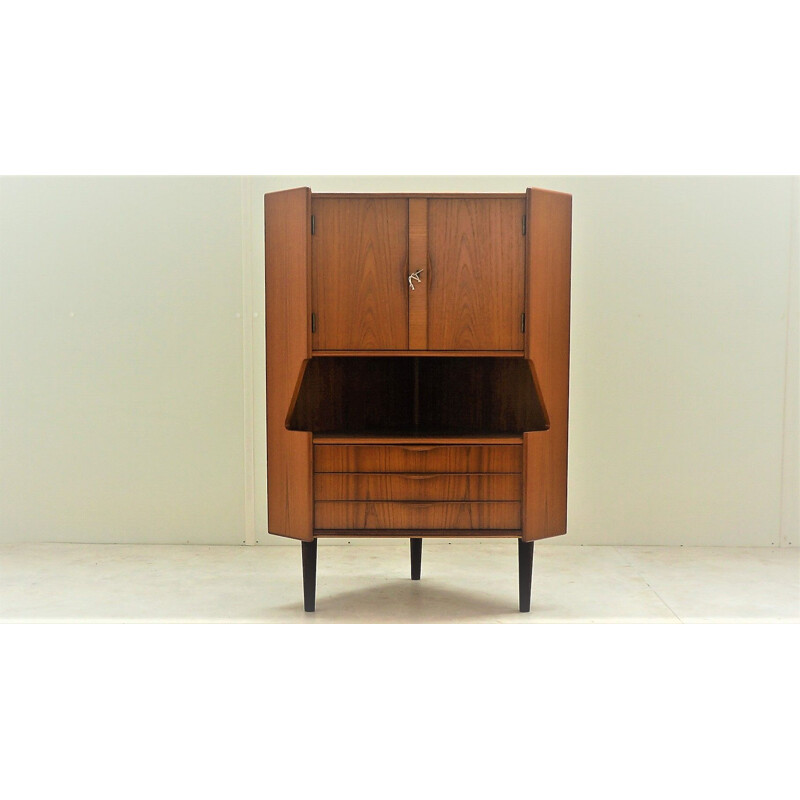 Vintage Scandinavian teak corner cabinet 1960