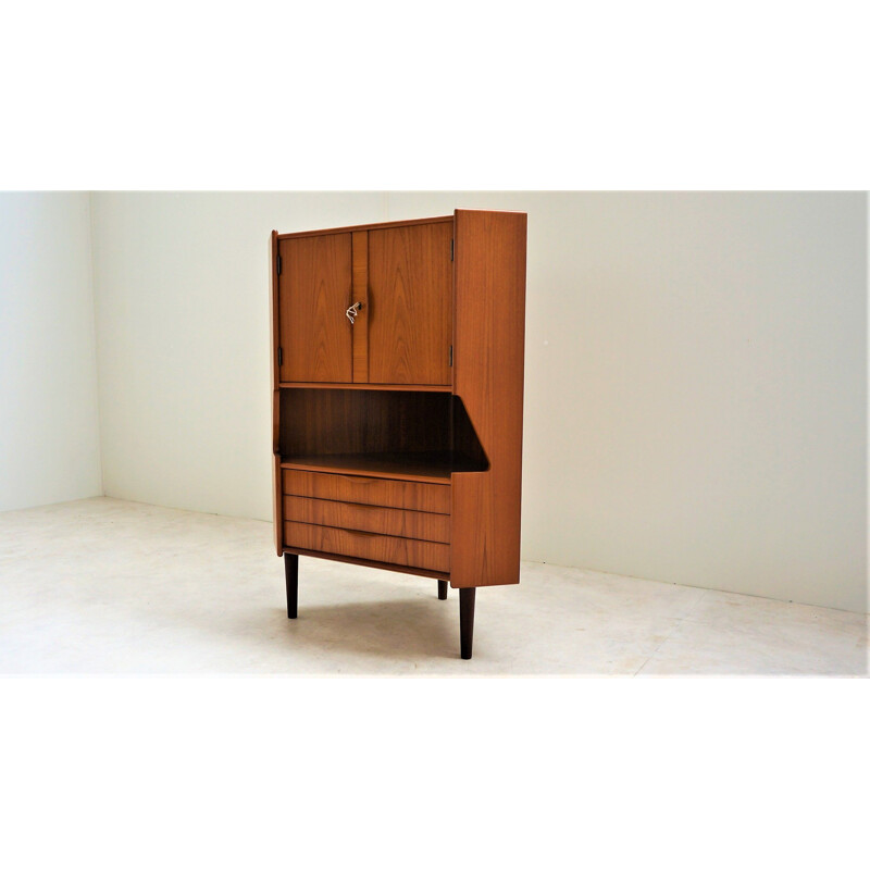 Vintage Scandinavian teak corner cabinet 1960