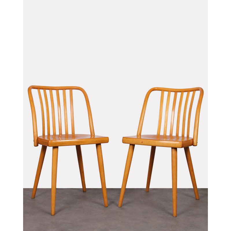 Pair of vintage chairs by Antonin Suman for Ton, 1960