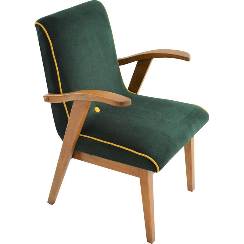 Vintage Green Flamingo armchair, 1960s