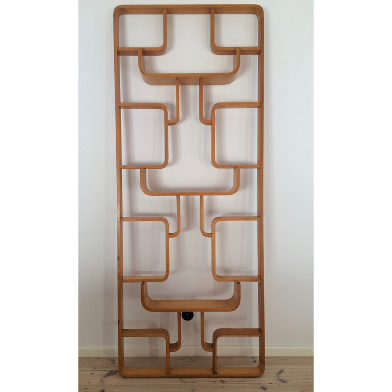 Vintage Room Divider by Ludvik Volak for Drevopodnik Holesov, 1960