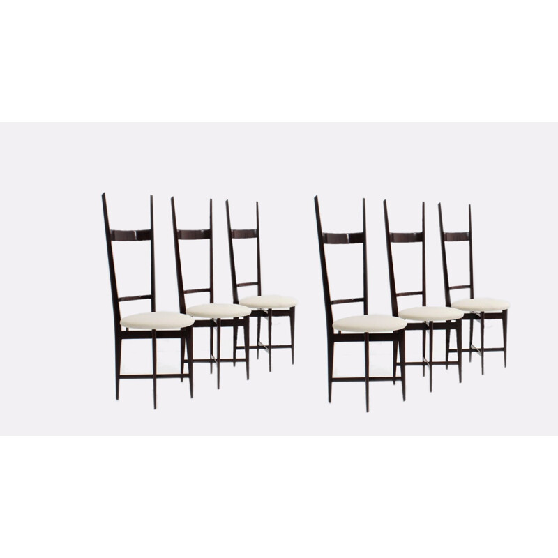 Set of 6 vintage dining chairs by Santambrogio e De Berti, 1950s