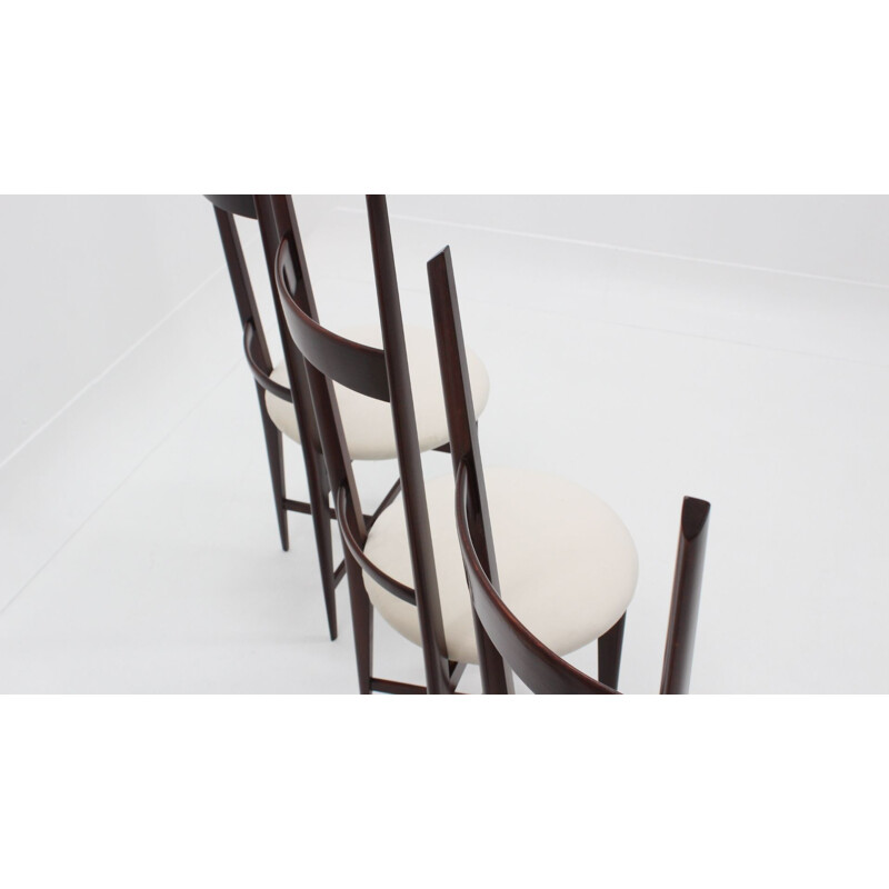 Set of 6 vintage dining chairs by Santambrogio e De Berti, 1950s