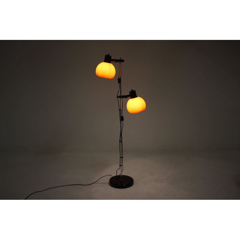 Vintage verstelbare vloerlamp, 1960