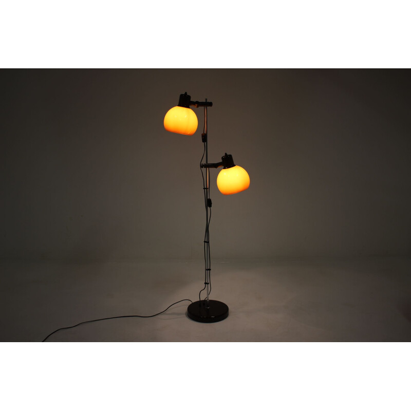 Vintage adjustable floor lamp,1960s