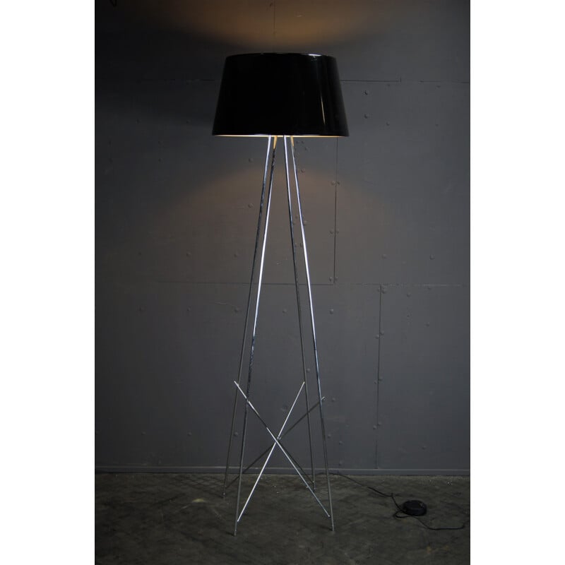 Vintage floor lamp Ray F2 Terra DIM