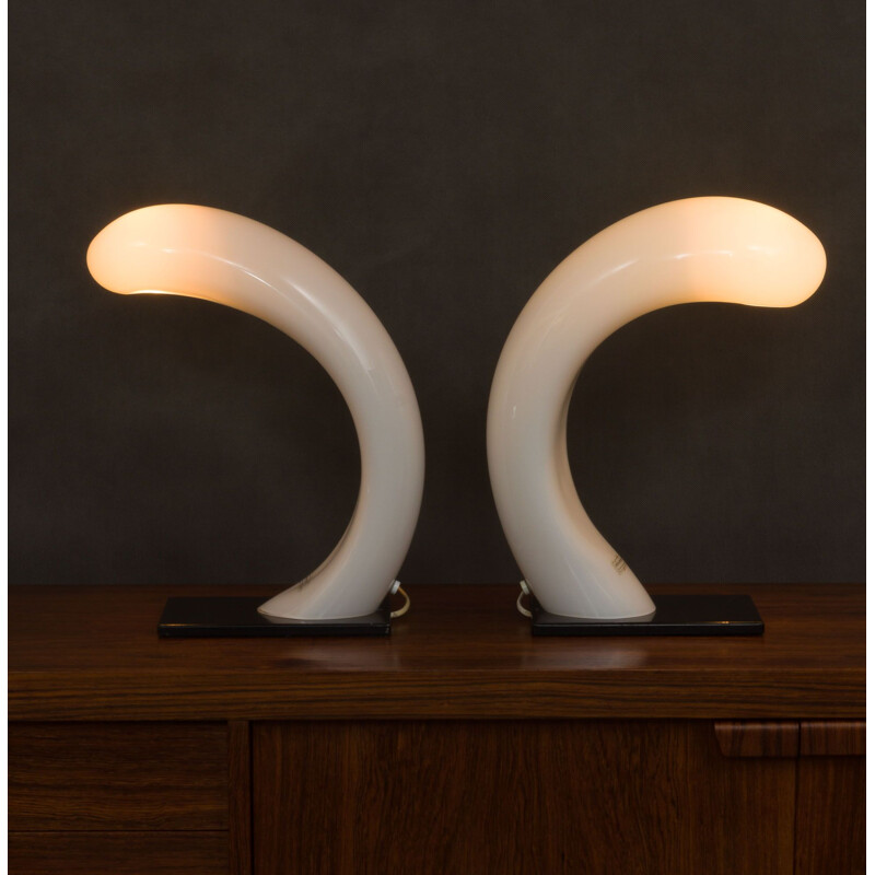 Pair of vintage Vetri Murano Effetre lamp International 1960