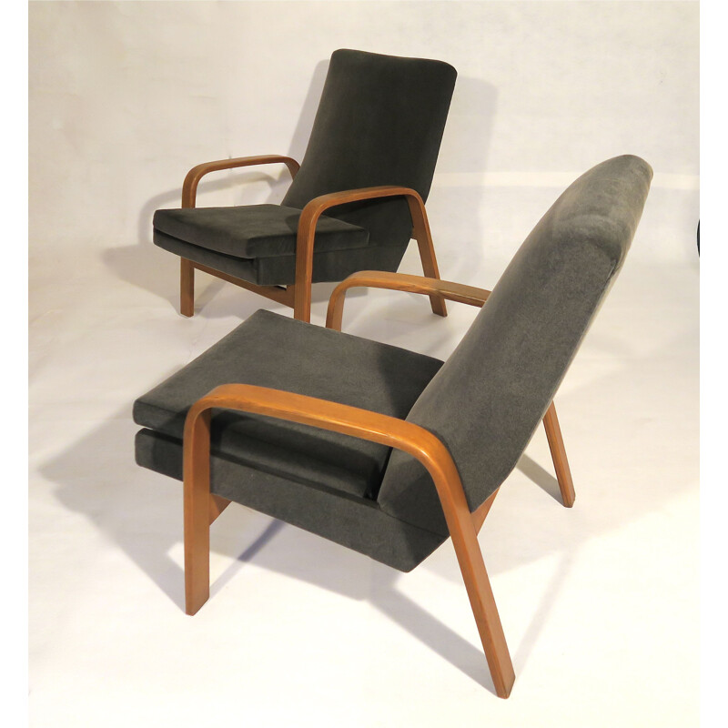 Set of 2 vintage armchairs by ARP, Steiner publisher, 1950s