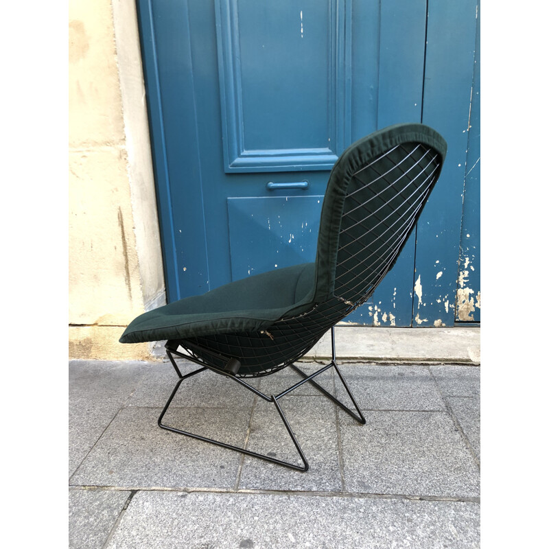 Vintage Bird armchair by Harry Bertoia, 1960s