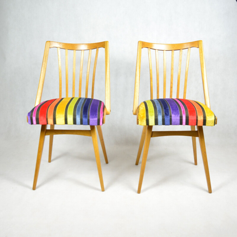Paire de chaises vintage, conçue par A. Suman, Ton 1960