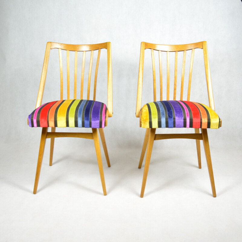 Vintage pair of chairs, designed by A. Suman, Ton 1960