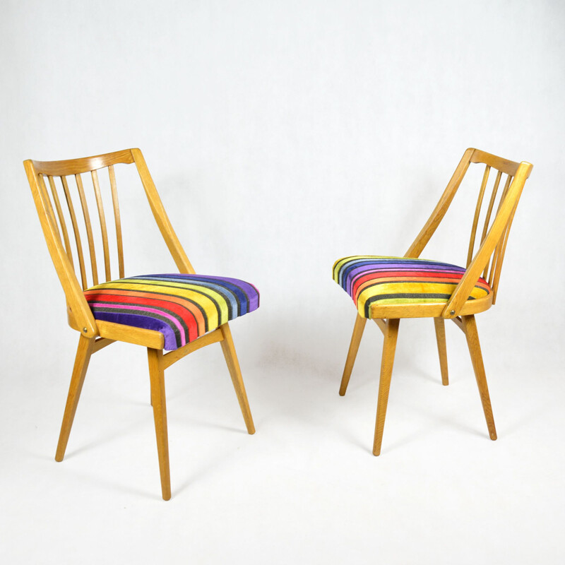 Vintage pair of chairs, designed by A. Suman, Ton 1960