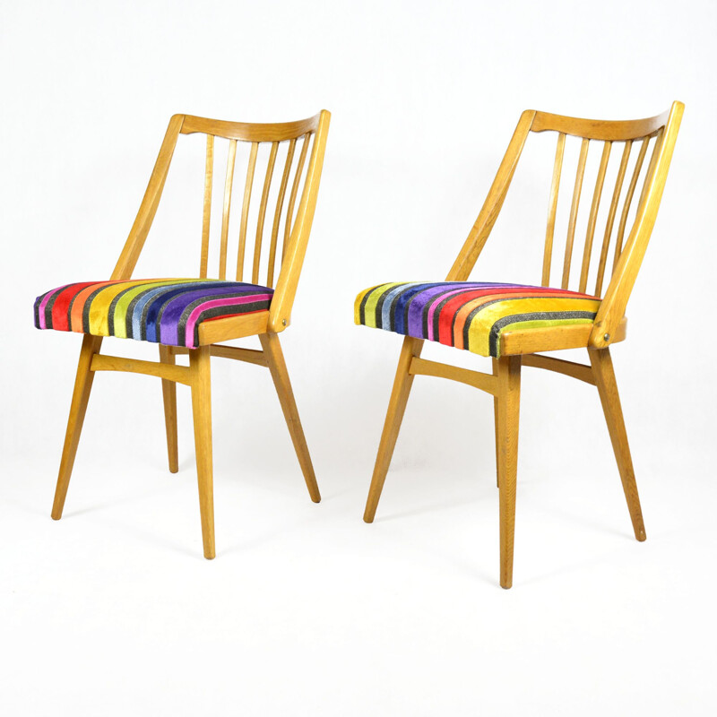 Vintage pair of chairs, designed by A. Suman, Ton 1960