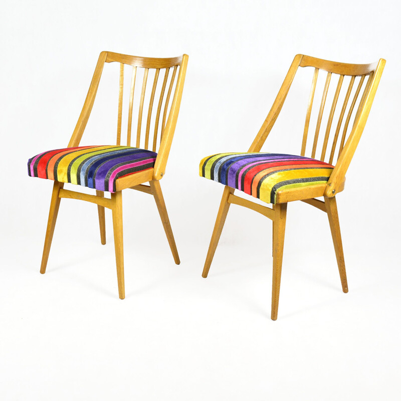 Vintage pair of chairs, designed by A. Suman, Ton 1960