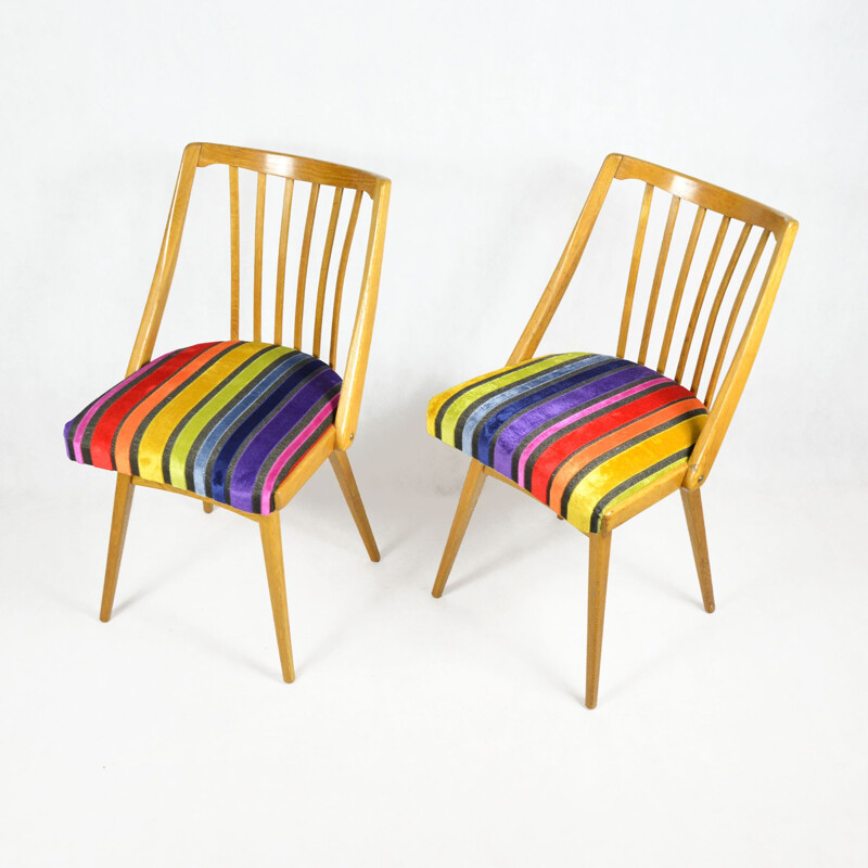 Vintage pair of chairs, designed by A. Suman, Ton 1960