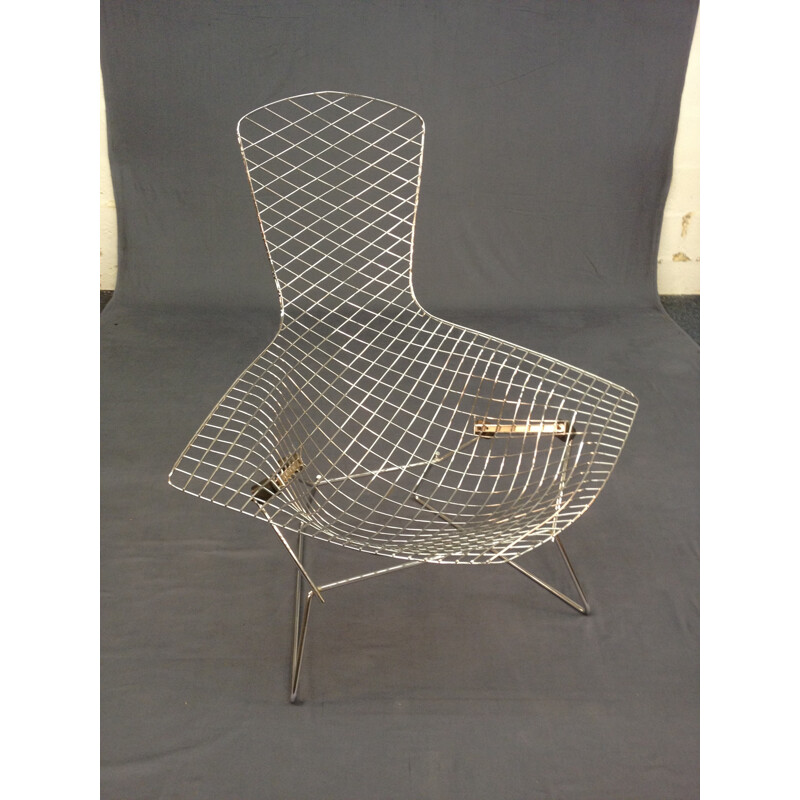 Armchair model "Bird", Harry BERTOIA - 1950s 