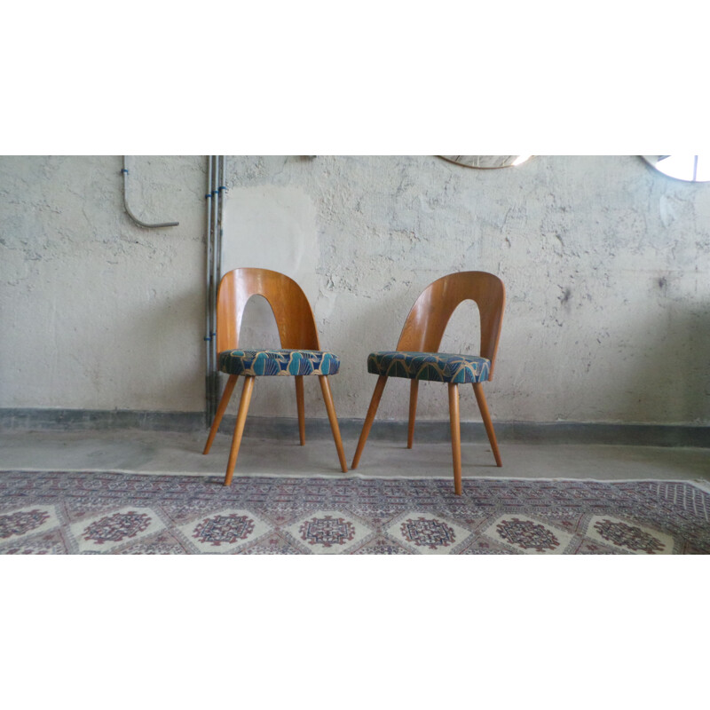 Ensemble de 4 chaises vintage d'Antonin Suman, 1960