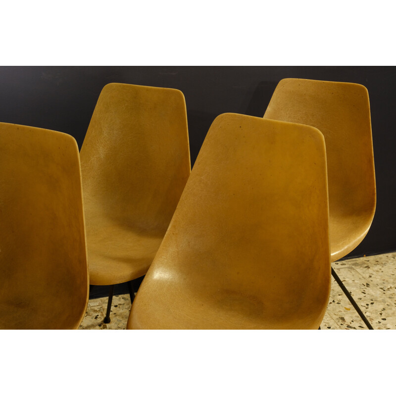 Ensemble de 4 chaises vintage par Jean-rené Picard, 1950