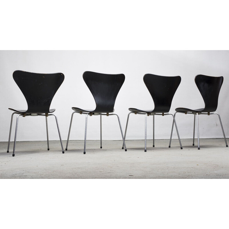 Ensemble de 4 chaises vintage série 7 par Arne Jacobsen pour Fritz Hansen, 1950