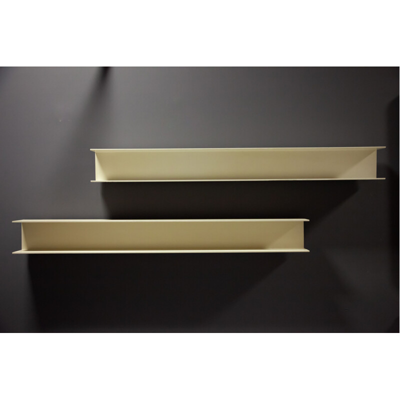 Vintage Shelf Pair by Walter Wirz for Wilhelm Renz, 1960