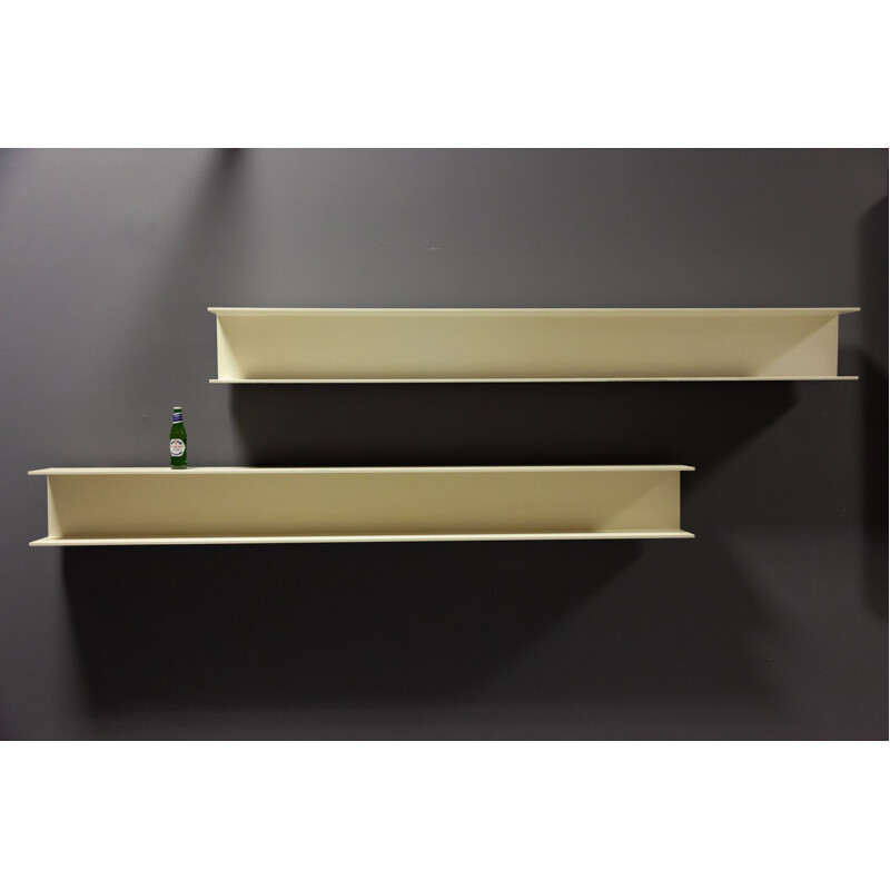 Vintage Shelf Pair by Walter Wirz for Wilhelm Renz, 1960