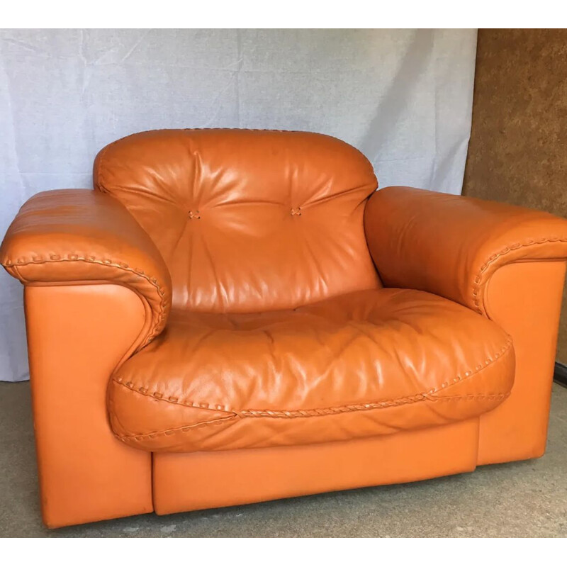 Vintage leather armchair by De Sede model DS 101