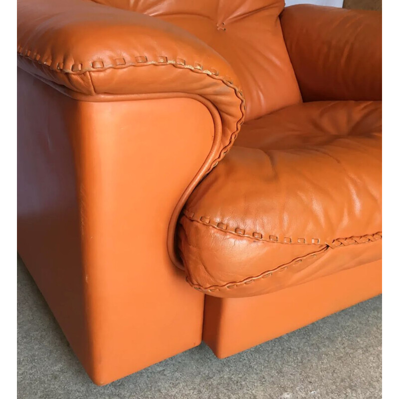 Vintage leather armchair by De Sede model DS 101