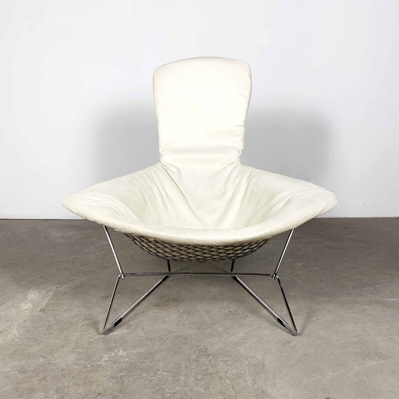 Vintage Bird Lounge Chair by Harry Bertoia for Knoll, 1970s