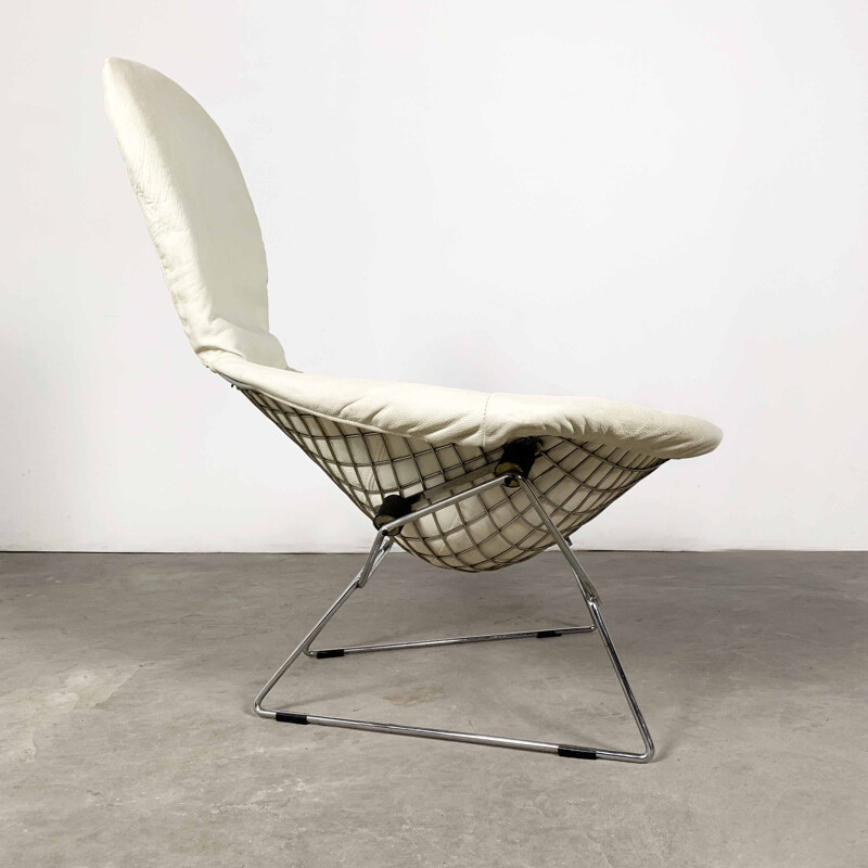 Vintage Bird Lounge Chair by Harry Bertoia for Knoll, 1970s