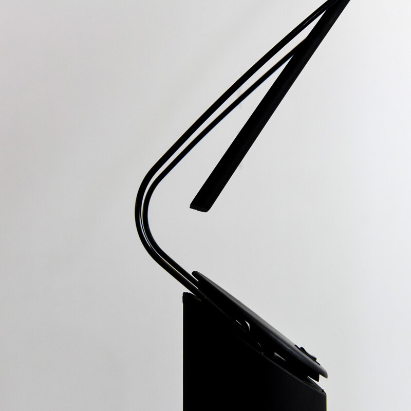 Vintage Dove Lettura floor lamp by Marco Colombo & Mario Barbaglia, 1980