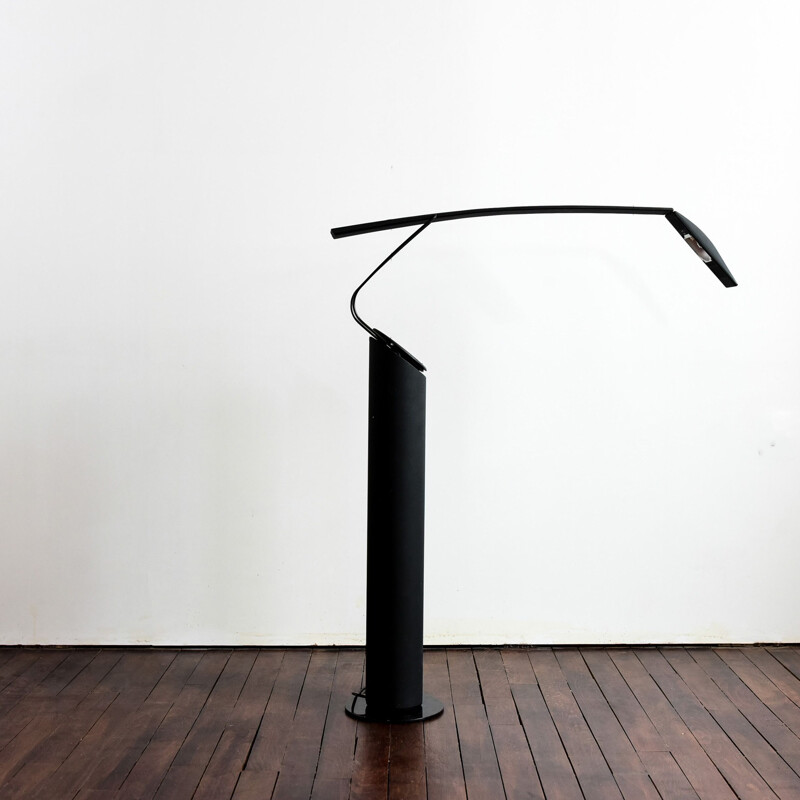 Vintage Dove Lettura floor lamp by Marco Colombo & Mario Barbaglia, 1980