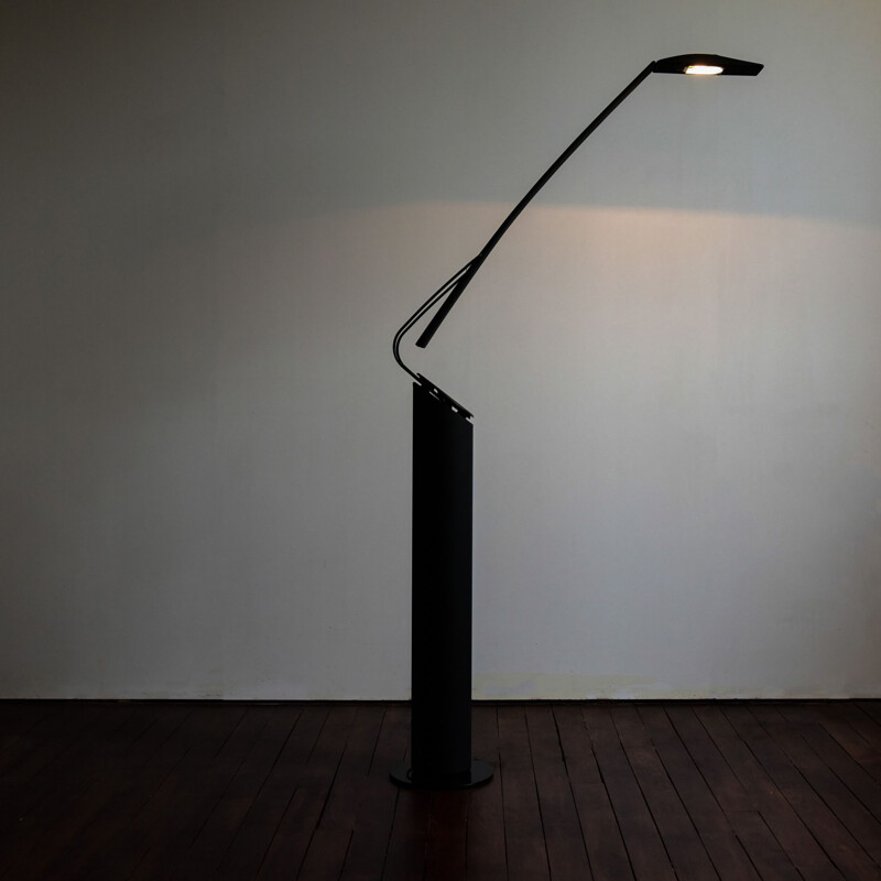 Vintage Dove Lettura floor lamp by Marco Colombo & Mario Barbaglia, 1980