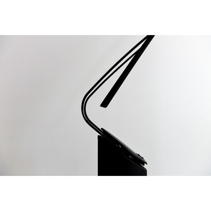 Vintage Dove Lettura floor lamp by Marco Colombo & Mario Barbaglia, 1980