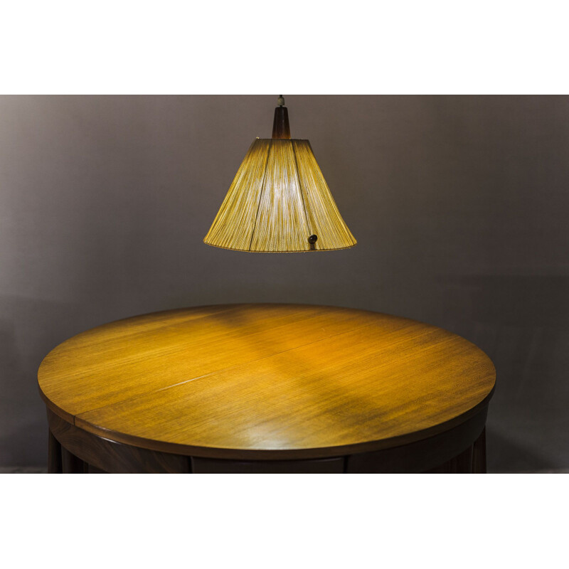 Vintage Raffia de Temde hanglamp, 1960