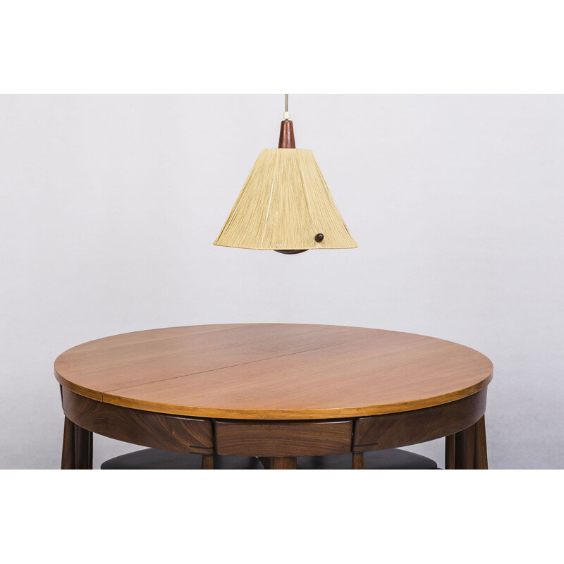 Vintage Raffia de Temde hanglamp, 1960